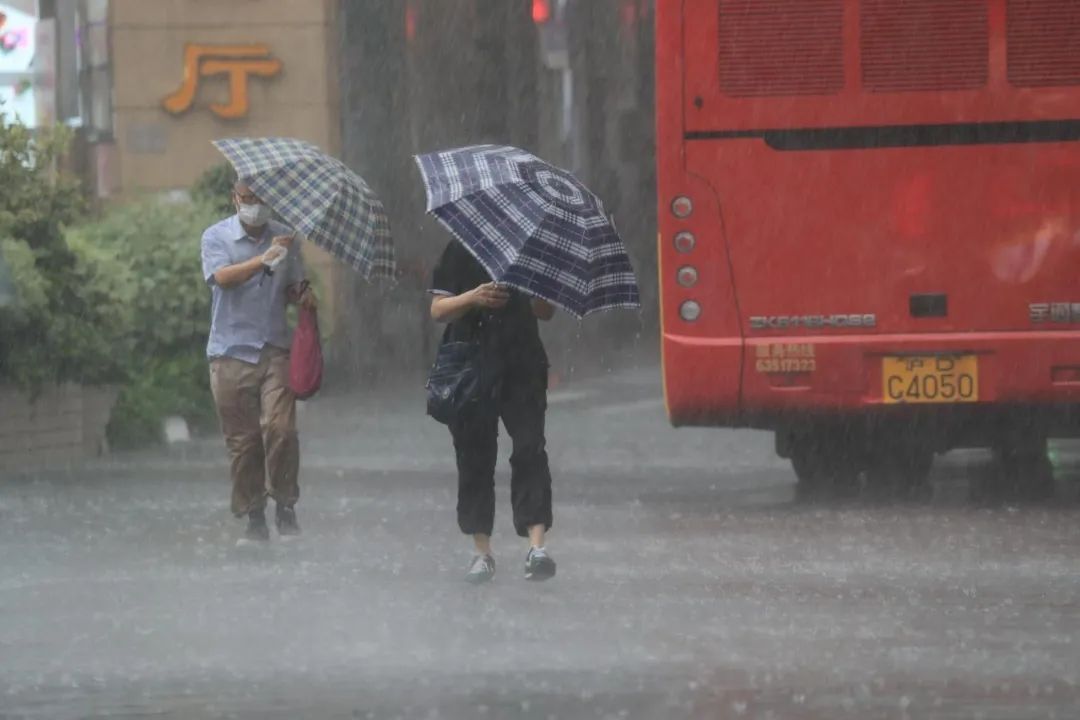 上海暴雨藍色預警信號更新為暴雨黃色預警信號 圖：擷取至上海氣象