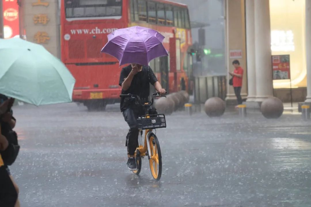 上海暴雨藍色預警信號更新為暴雨黃色預警信號 圖：擷取至上海氣象