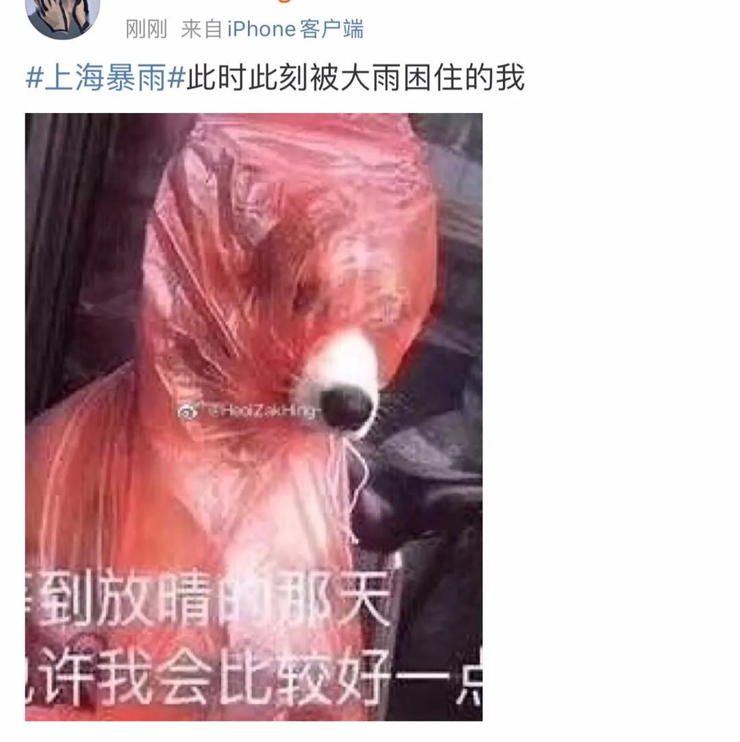 上海暴雨藍色預警信號更新為暴雨黃色預警信號 圖：擷取至上海氣象