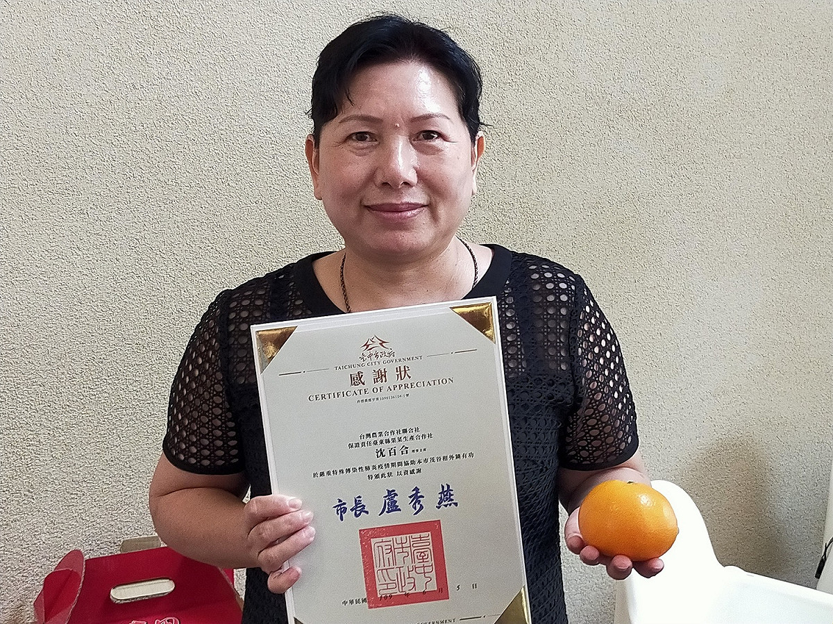 沈百合協助台中東勢果農將茂谷柑外銷至中國。 唐復年/攝