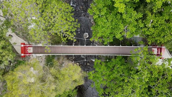 武陵農場為了解決隘口人車爭道問題，建造京華橋讓人可安全行走。 圖：武陵農場／提供