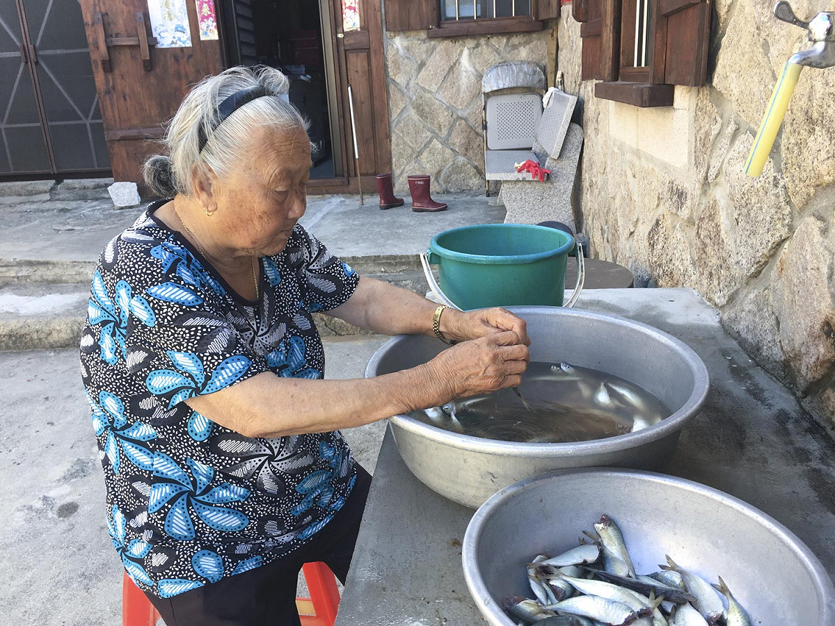 東莒大浦村的一位婆婆將鯷魚去頭準備曬成魚乾。 圖：張良一/攝