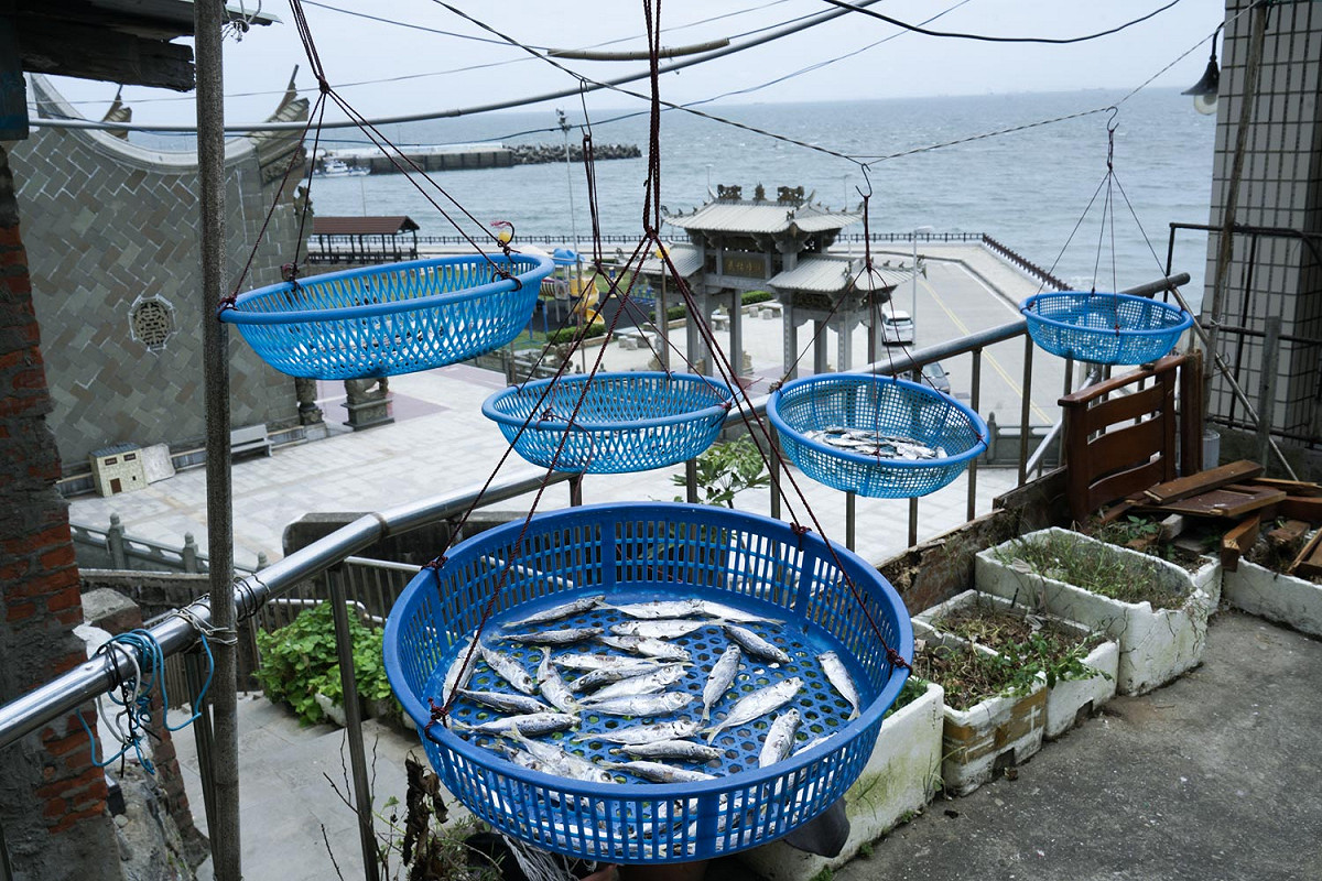 曬鯷魚可說是馬祖四鄉五島夏季最常見的風景。 圖：張良一/攝