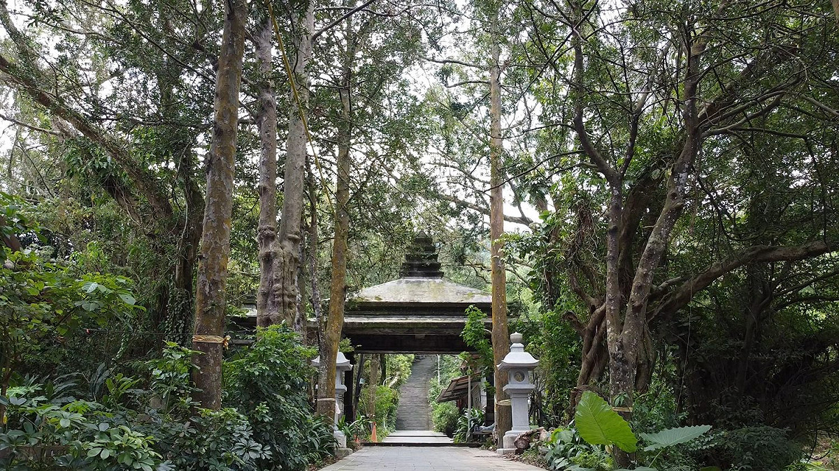 步道現存近30棵竹柏，高聳參天。 圖：台北市大地處／提供
