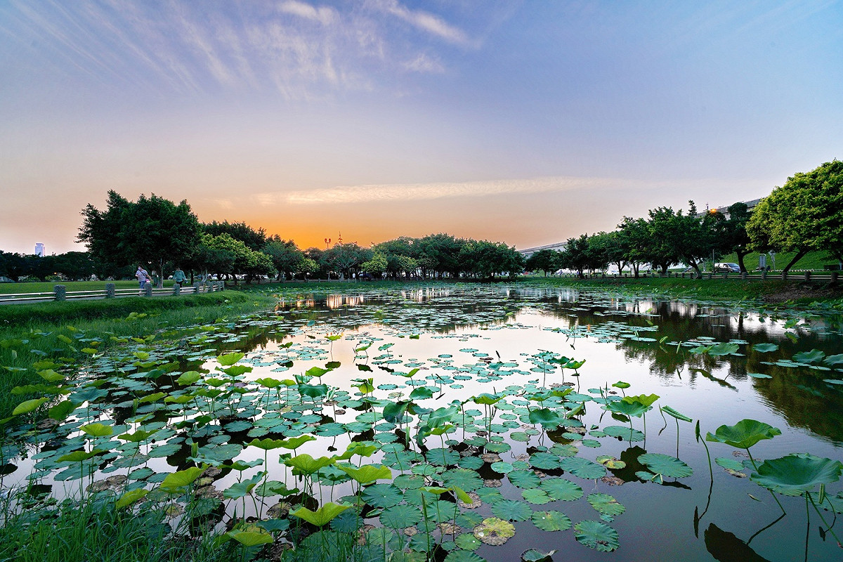 橘色的雲彩倒映於荷花公園水面。 圖：新北高灘地管理處／提供