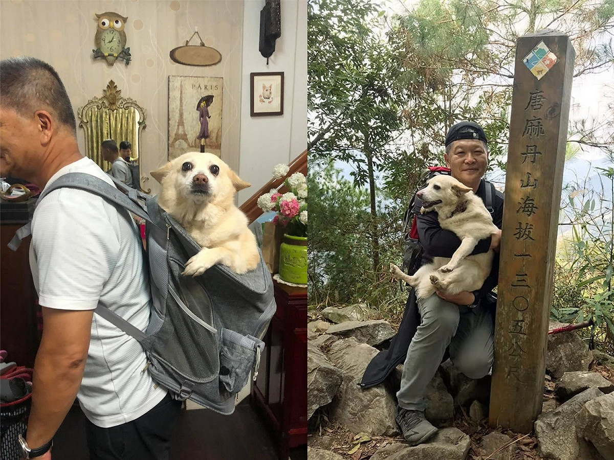 不管是在背上還是抱在懷裡，雞腿的表情都超可愛！ 圖：FB@良心貓罐頭Katsura Xanbi授權提供
