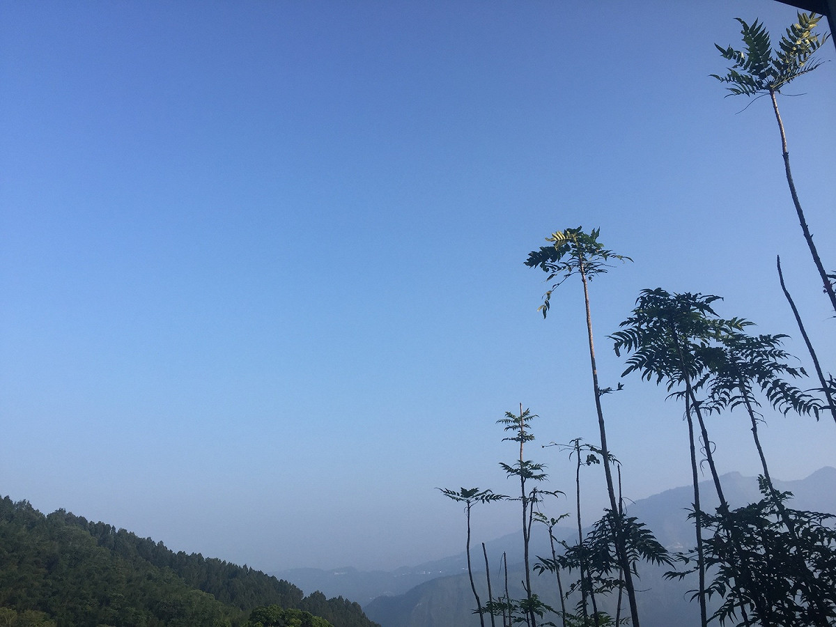 根據中央氣象局表示，今日台北及南投恐將破38度高溫。 圖：楊瑾錚/攝影