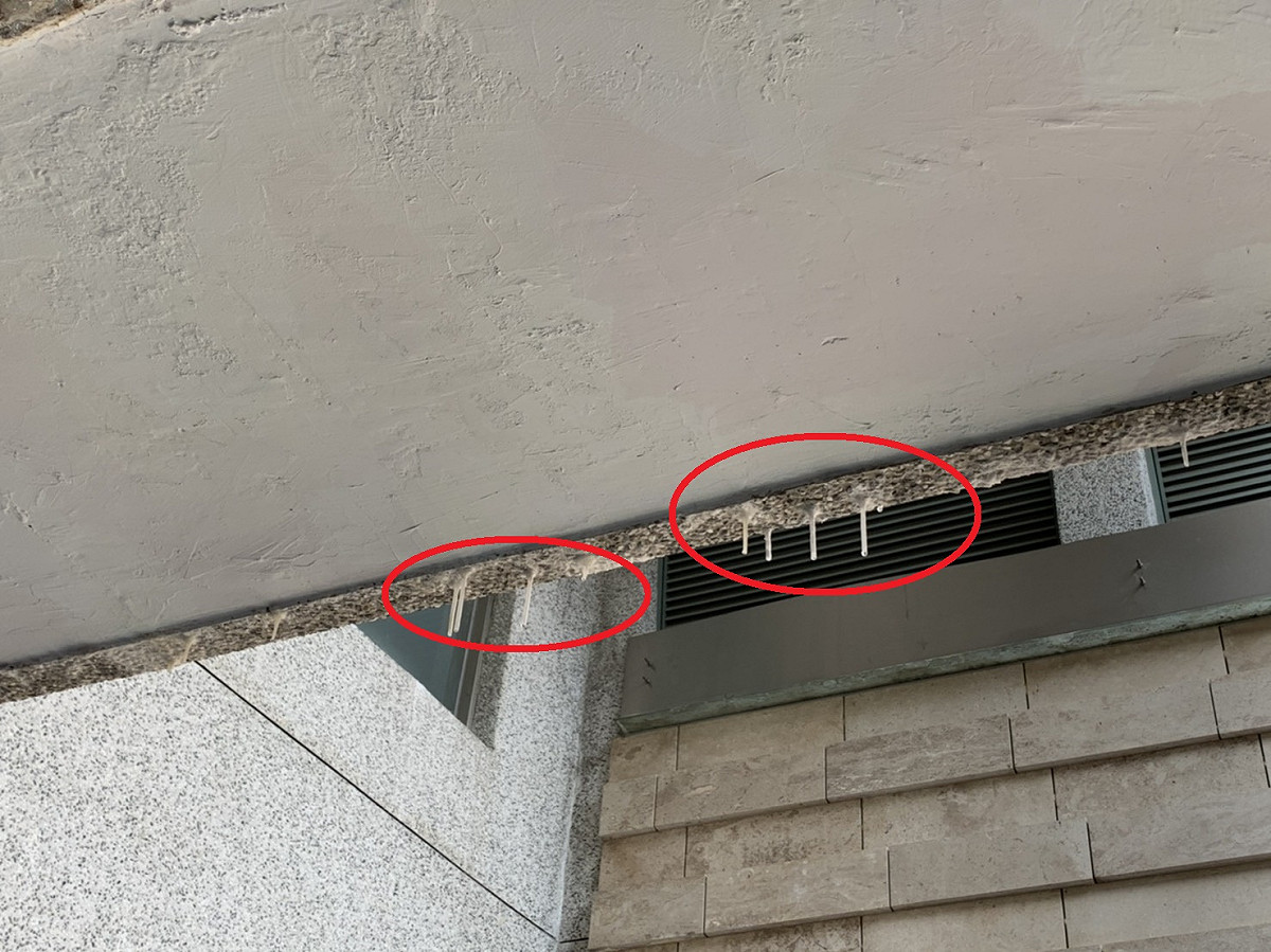 台中市政公園停車場竟出現鐘乳石奇景！ 市議員江肇國/提供