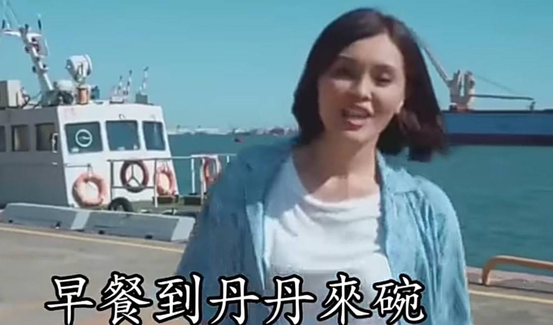 李眉蓁競選歌曲涉權下架，其中歌詞更被酸爆。 圖：翻攝李眉蓁競選MV