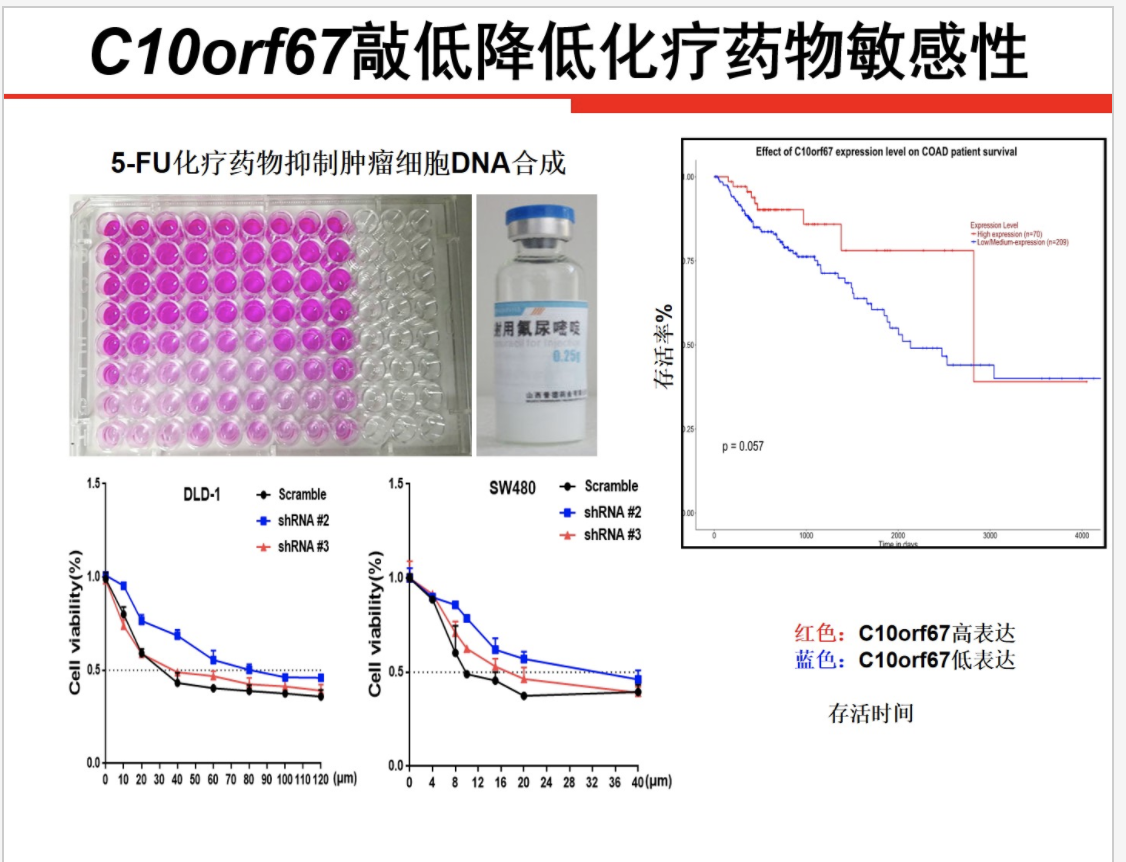昆明「神童」報告中的癌症研究項目。 圖：擷取至全國青少年科技創新大賽官網