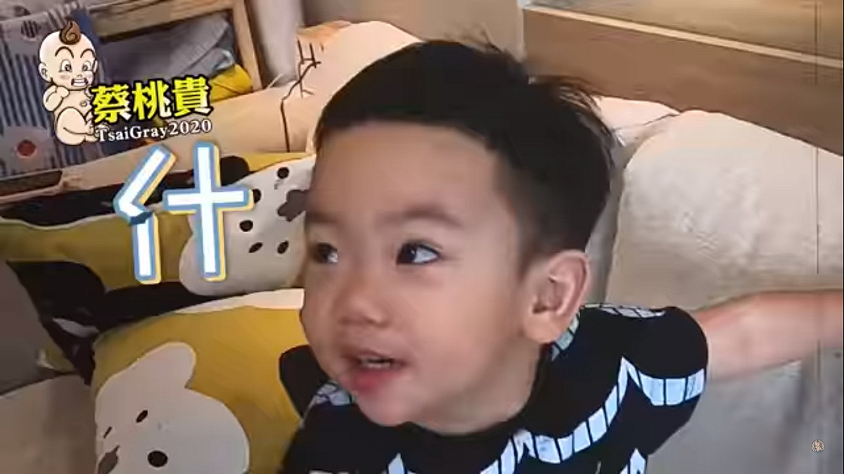 蔡桃貴一不小心就說出：「什麼」。 圖：擷取YouTube