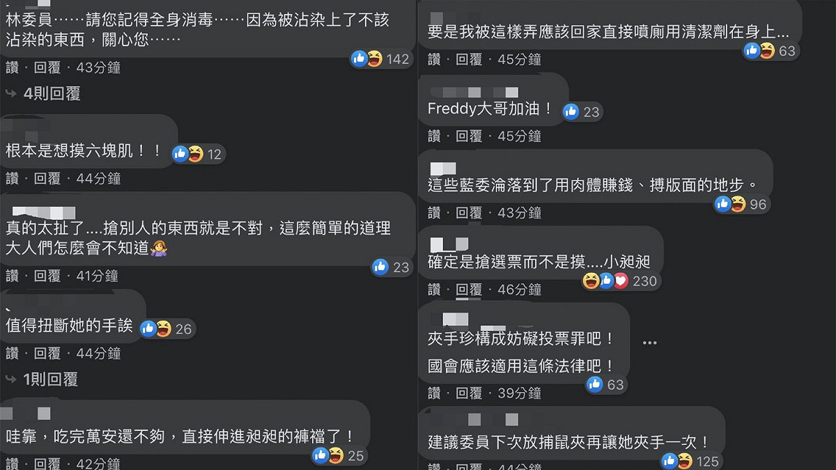 大批網民在立委林昶佐臉書發文下留言，狠酸陳玉珍個人行為。 圖：截取自林昶佐個人臉書