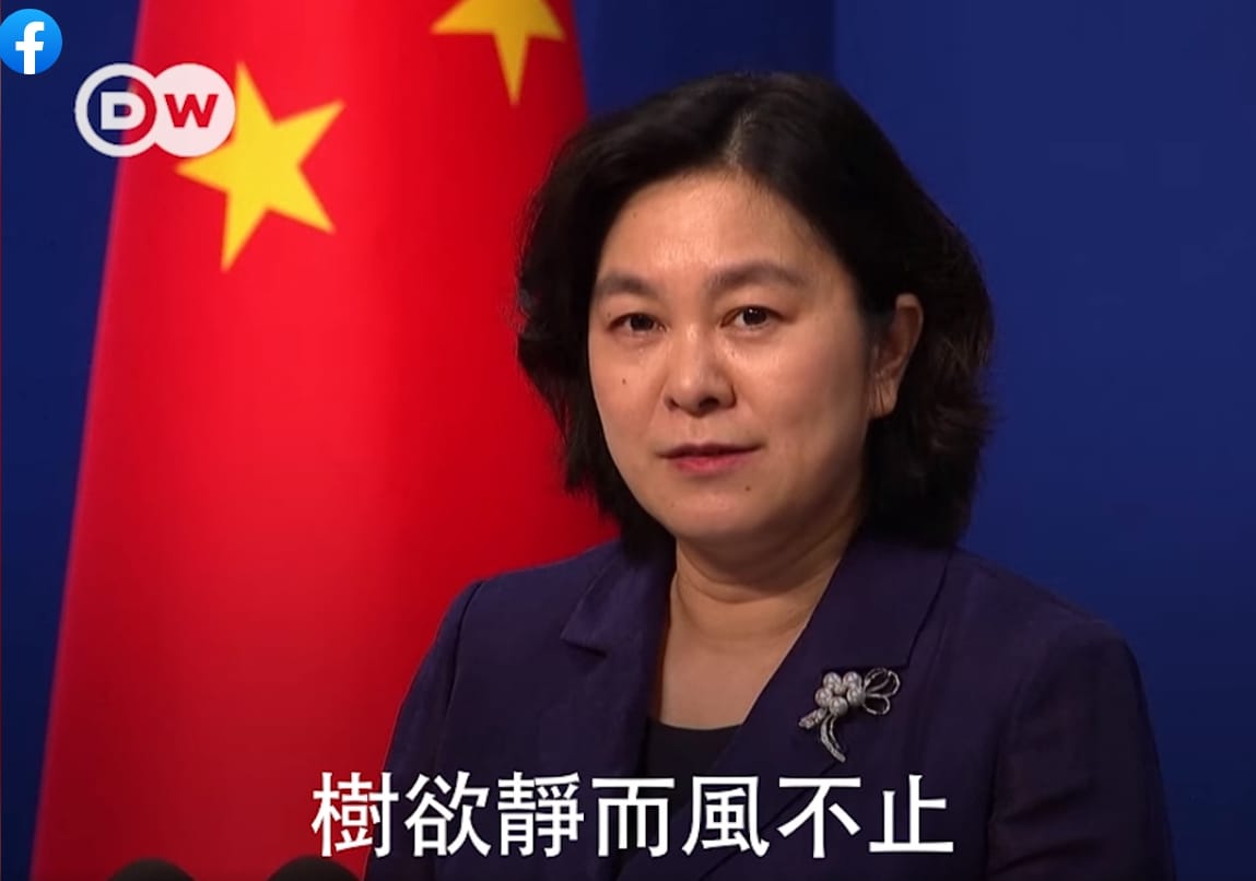 中國外交部發言人華春盈創造「樹欲靜而風不止」新用法。 圖：翻攝自DW中國-德國之聲 臉書。