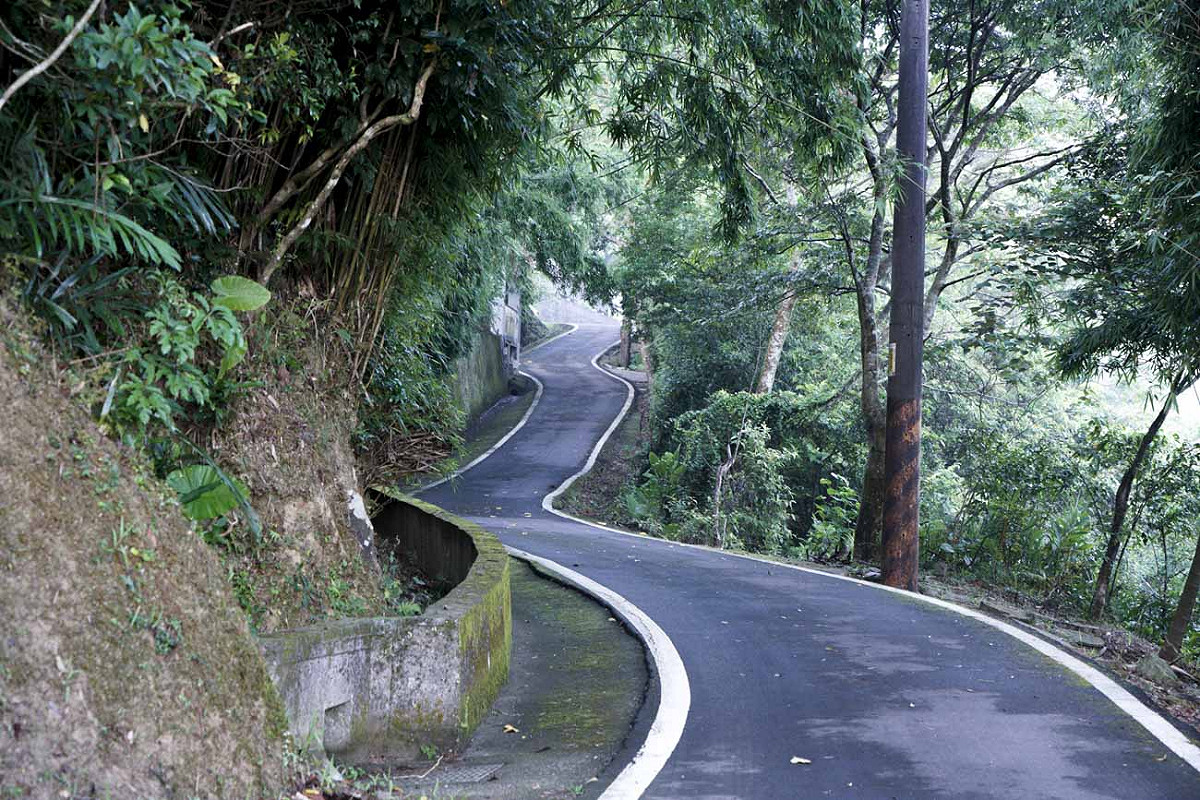 簡秋陽的稻田離貢寮市區還有十多分鐘車程的山上，通往山區的山路過窄，不利割稻機上山，石壁坑的農友們至今仍沿用傳統的人工種稻方式。 圖：張良一/攝