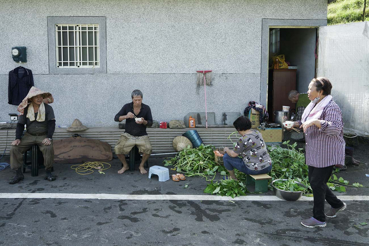 良影一二》貢寮山區手工割稻 重現割稻仔飯食五頓盛況