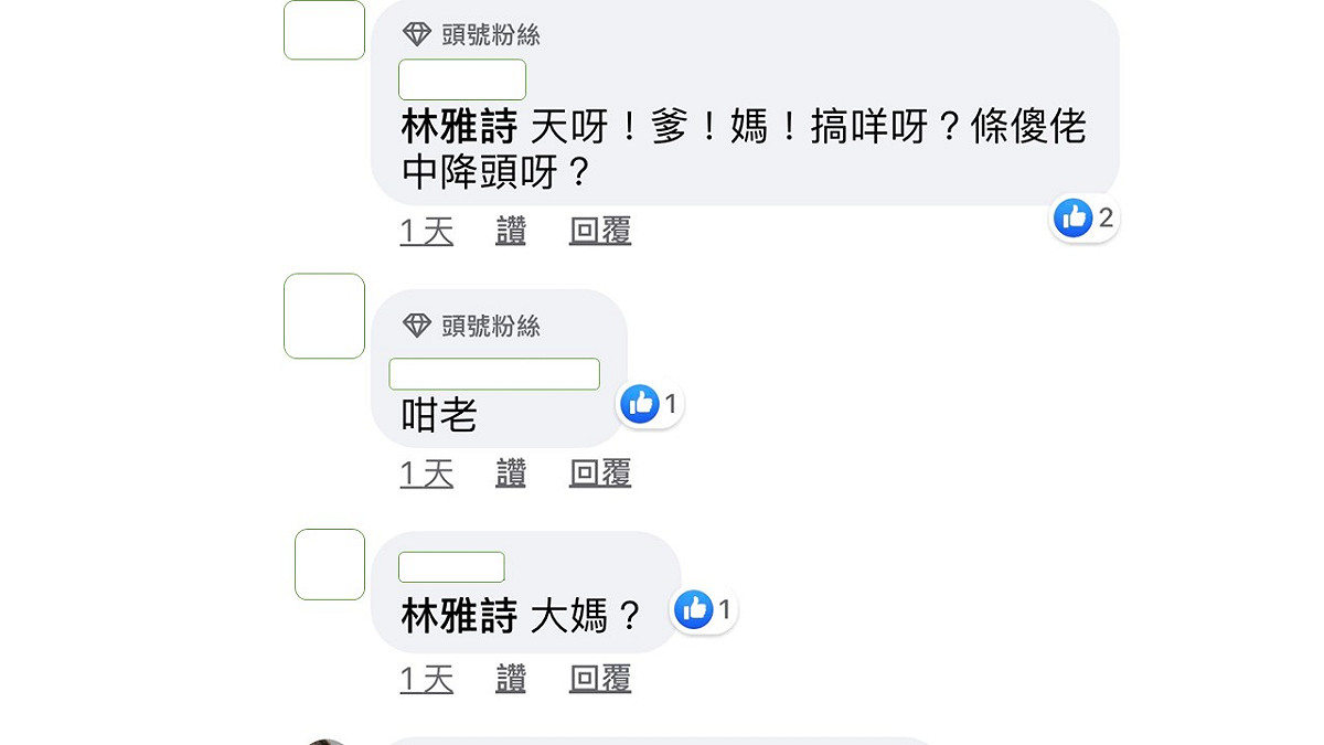 網友看到小三照片後問，小三是大媽嗎？ 圖：翻攝林雅詩臉書粉絲專頁