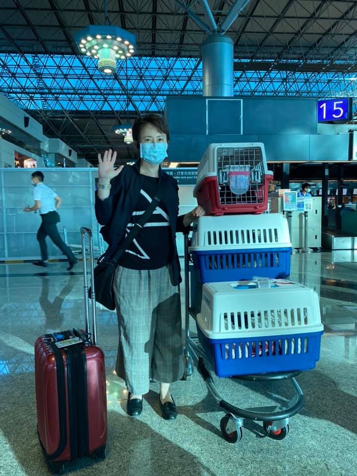 蕭美琴攜4隻愛貓赴美國 翻攝蕭美琴臉書