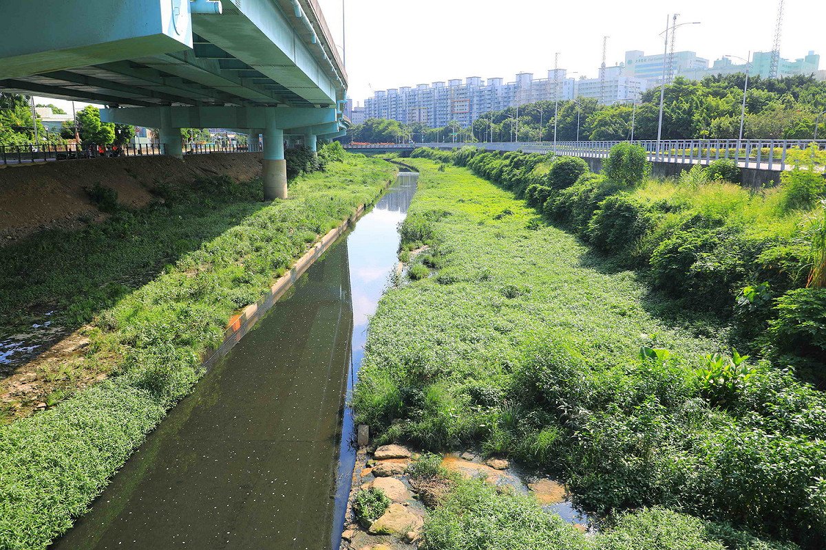 湳仔溝整治工程現況。 圖：新北市政府／提供