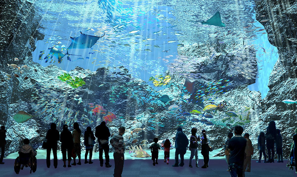 水族館是兼具知性和娛樂的夏日避暑絕佳去處，而且各年齡層都適合。 圖：Xpark／提供