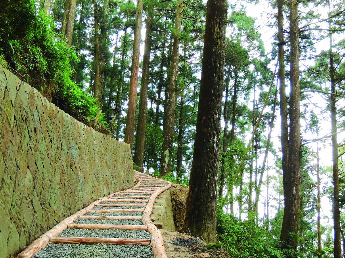 嘉義縣推台18線「腹愁者步道聯盟」，圖為大凍山觀日步道。 圖：嘉義縣政府/提供