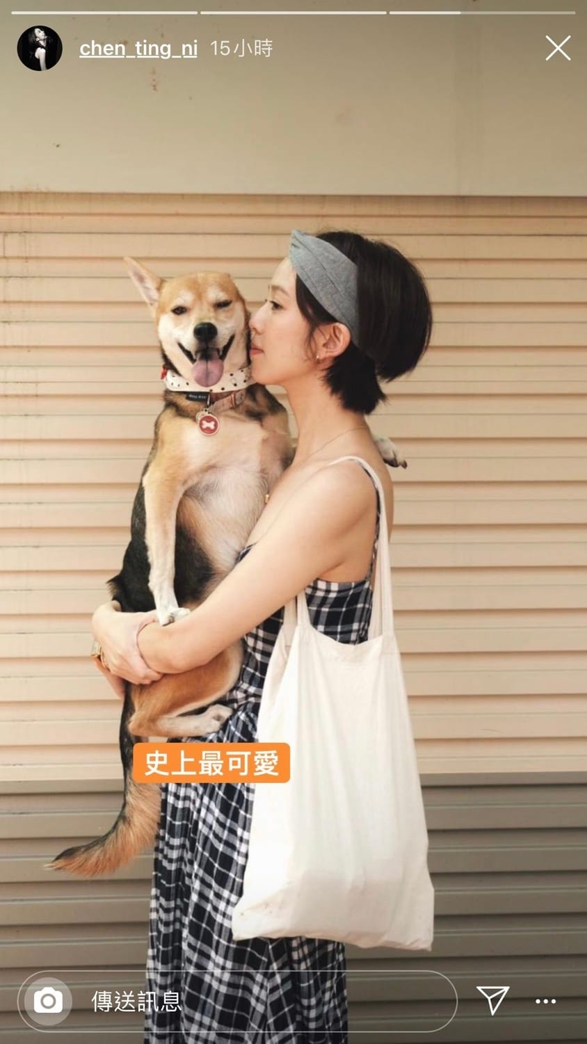 陳庭妮難得悠閒帶著愛犬出去散步。 圖：翻攝Instagram