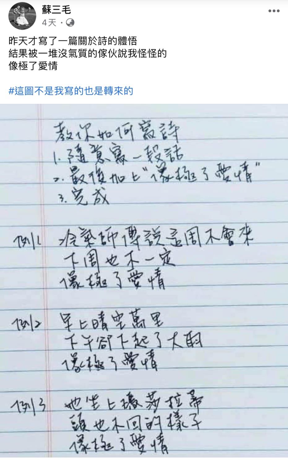 「像極了愛情」在台灣爆紅起源是導演蘇三毛在臉書轉貼的文字。 圖：截圖自臉書