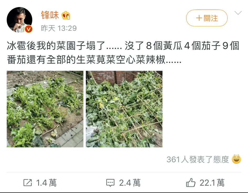 謝霆鋒發文還一一細數自己的損失，笑壞網友。 圖：節自微博