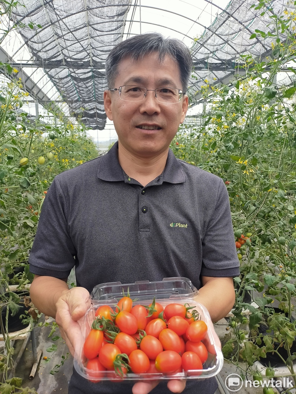 黃明發說，番茄紅了，醫生的臉就綠了。 圖:唐復年/攝