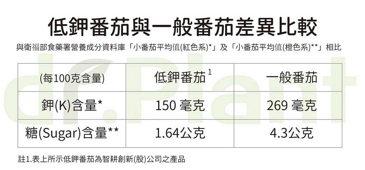 低鉀番茄與一般番茄在鉀及糖的含量比較。  圖:唐復年/攝