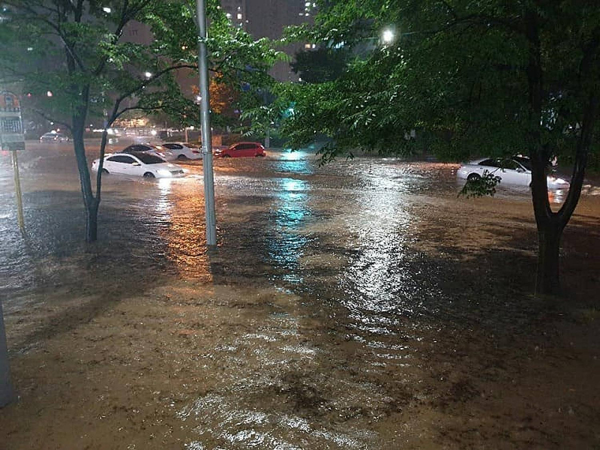 南韓正遭受7年來最長雨季的侵襲，多個城市都淹大水造成傷亡。 圖：翻攝自釜山警察臉書
