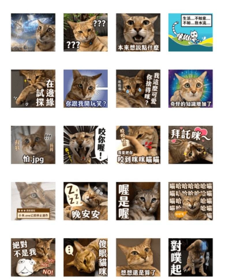 陳小米LINE貼圖一度衝上排行榜top 10。 圖：陳其邁競辦/提供