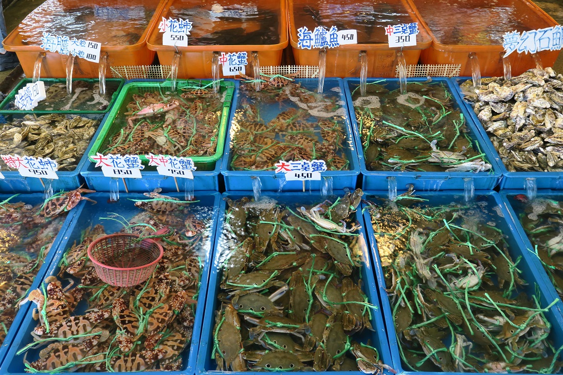 富基漁市裡各式各樣從漁港直送的新鮮魚貨應有盡有。 圖：新北市漁管處提供