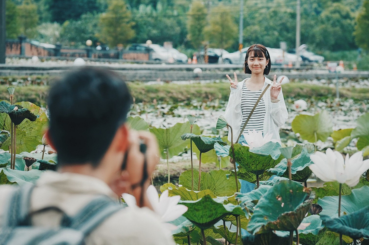 旅人們能穿梭在荷花田中拍美照。 圖：新北市政府綠美化環境景觀處／提供