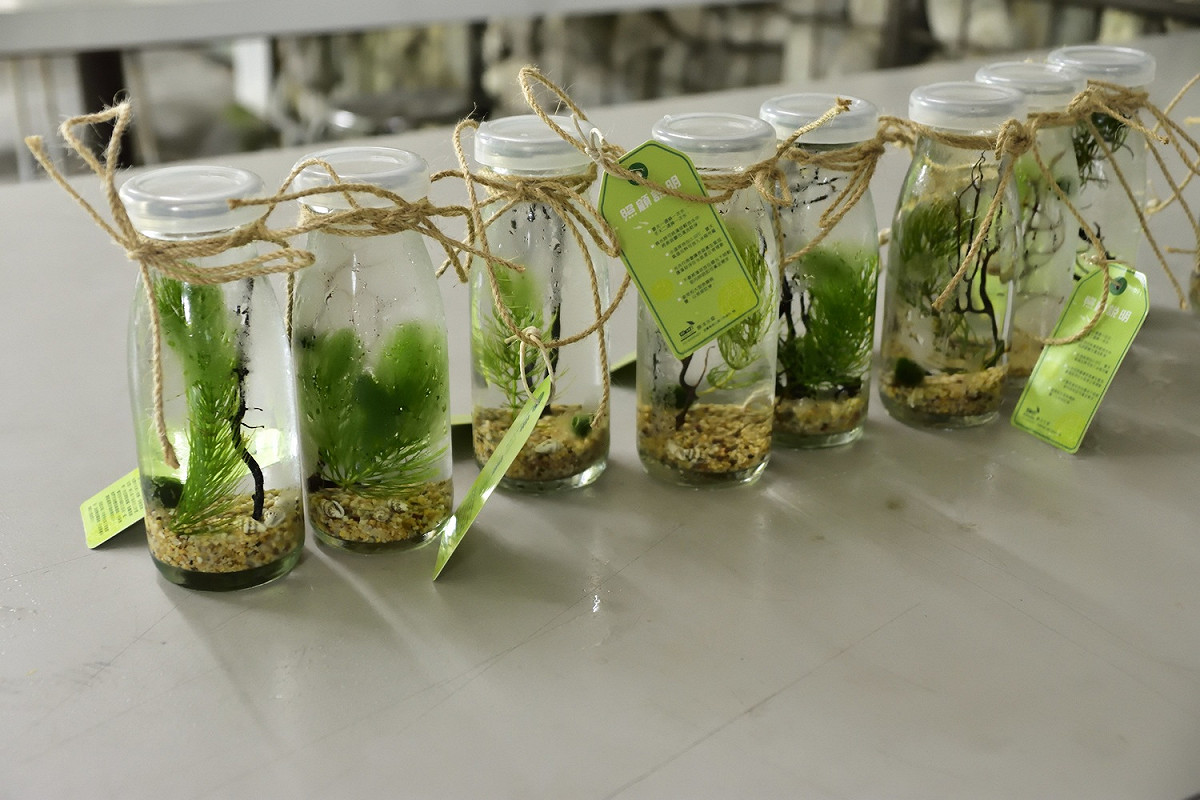 19家農場每座都有獨特的DIY體驗。 圖：農委會／提供