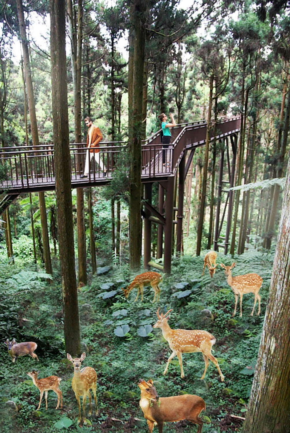 原生動物區模擬圖。 圖：翻攝自高雄旅遊網