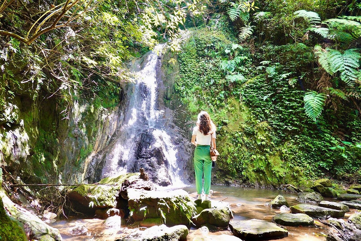 只要入住配合的旅館，就可以預約免費的北投~竹子湖半日遊。 圖：台北市觀傳局／提供