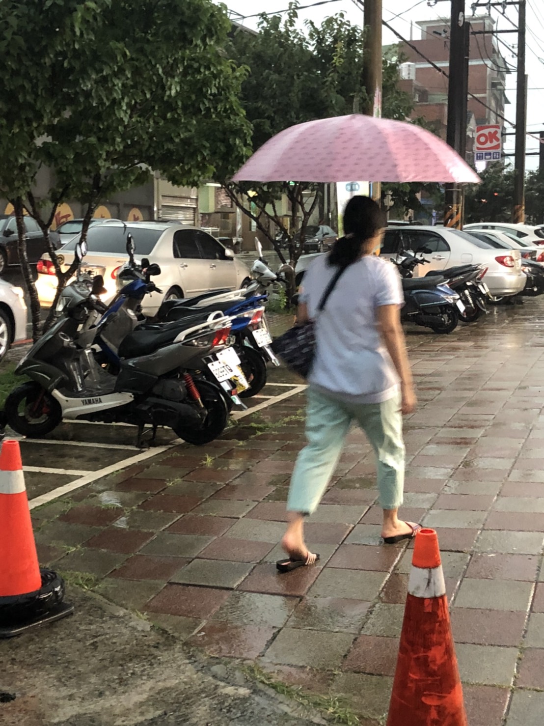 今天鋒面通過，北台灣明顯感受到降雨。下周又有東北風南下，秋天的天氣型態更趨明顯。 圖：楊瑾錚/攝