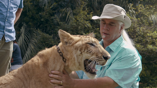 異國喬現在的動物園站時遊卡蘿接管。 圖：Netflix/提供