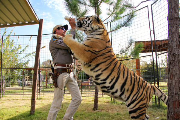 異國喬影射卡蘿謀殺親夫，讓她成為網路撻伐對象。 圖：Netflix/提供