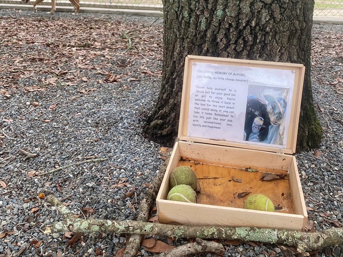 在狗公園散步時，女子見到這個內有網球的木箱，走近一看卻忍不住流淚。 圖／Twitter@courttkardashh