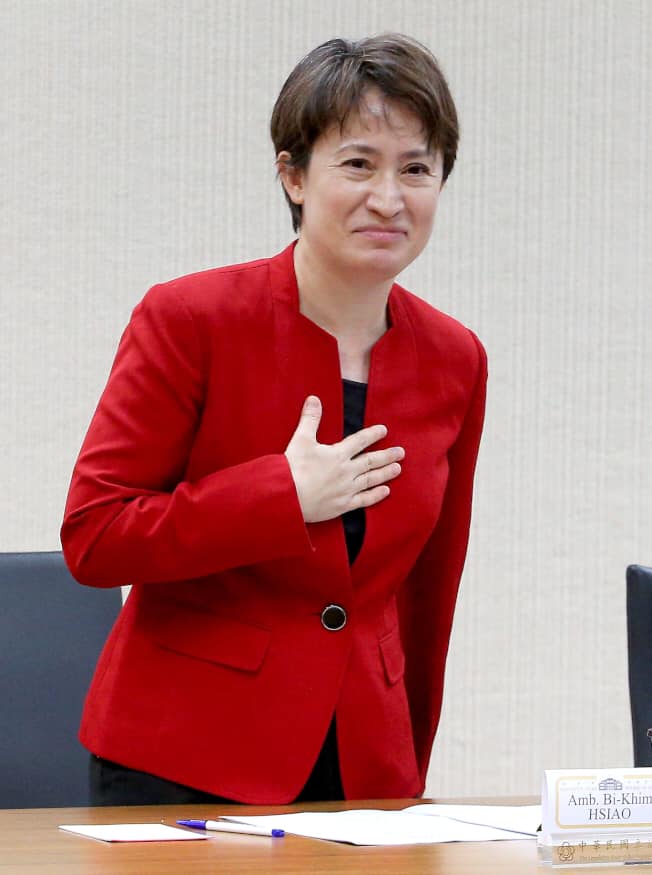 新任駐美代表蕭美琴今晚首度參與僑界公開視訊活動。 圖：擷取自全美台灣同鄉會 Taiwanese Association of America - USA