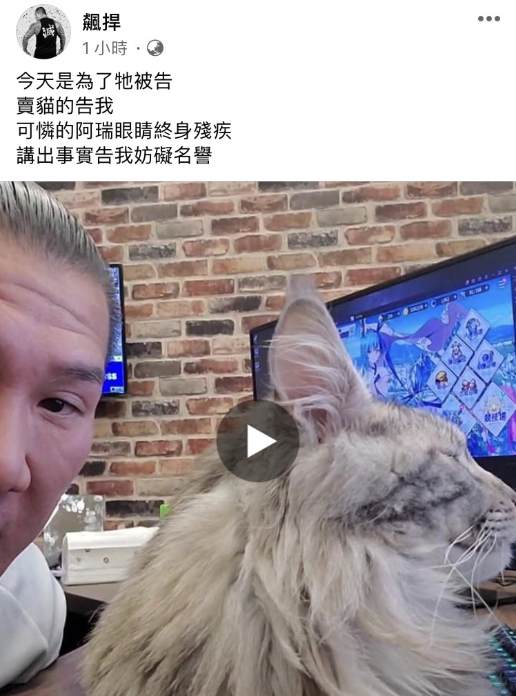 館長豪擲23萬元買了緬因貓，但愛貓面臨失明危機，如今賣家反要提告館長。 圖：翻攝自館長臉書