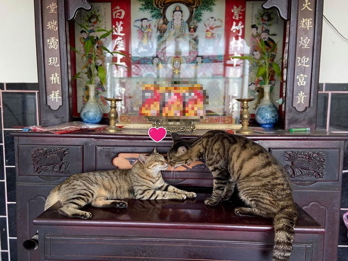 大黑：麵麵，葛格會愛你一輩子！ 圖／粉專百樂門食堂授權提供