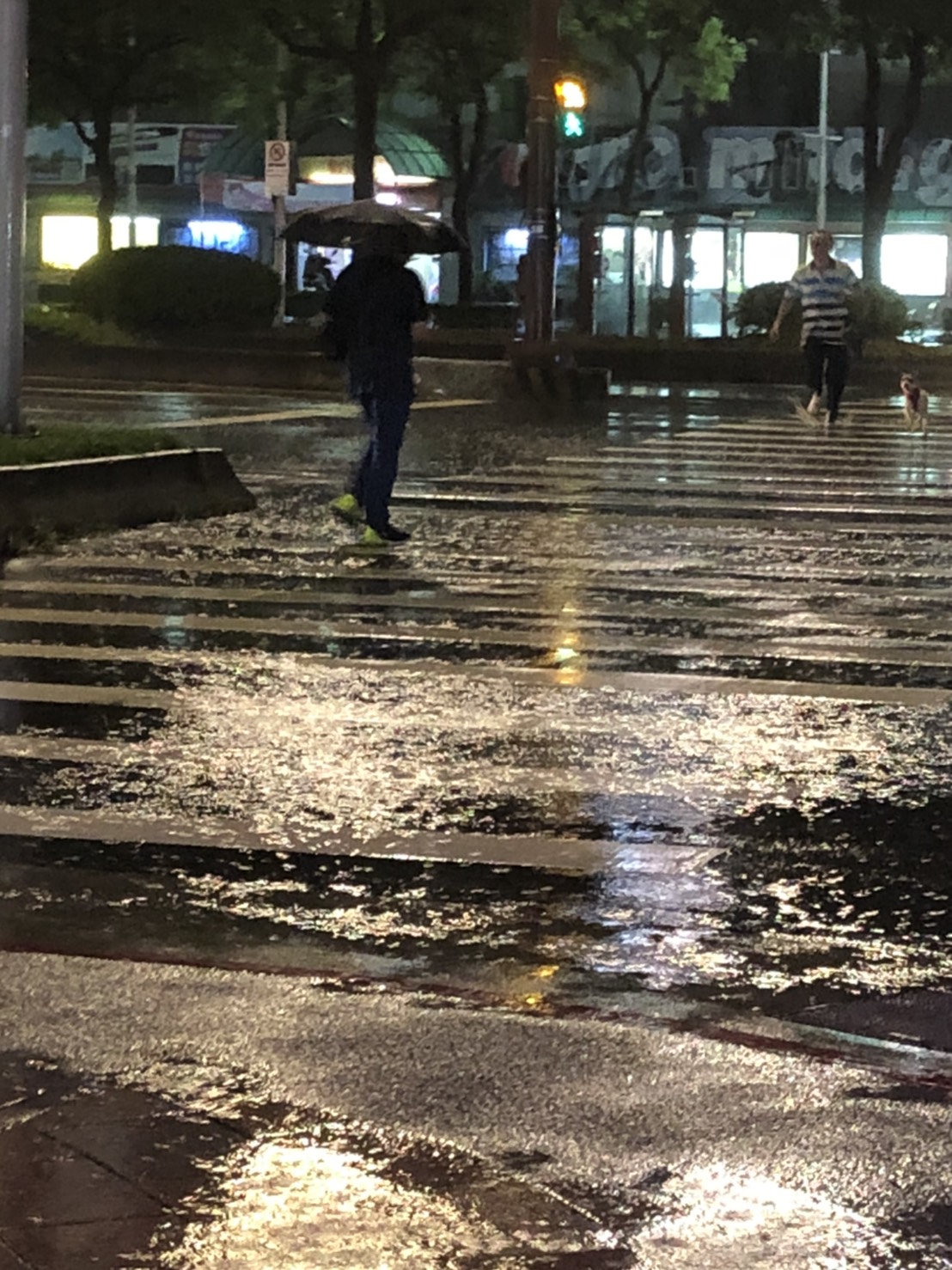 北台灣下週濕涼一整週，中南部則是要留意早晚溫差接近10度左右。北台灣民眾出門請攜帶雨具，中南部則外出須多帶件薄外套，以免著涼。 圖：楊瑾錚/攝