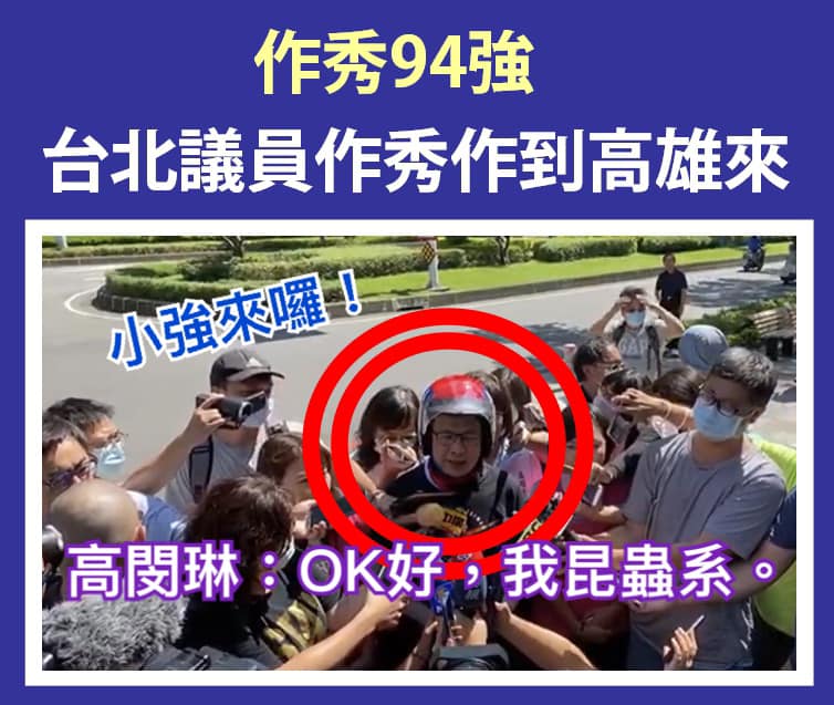 市議員高閔琳批評羅智強 圖:擷取自臉書