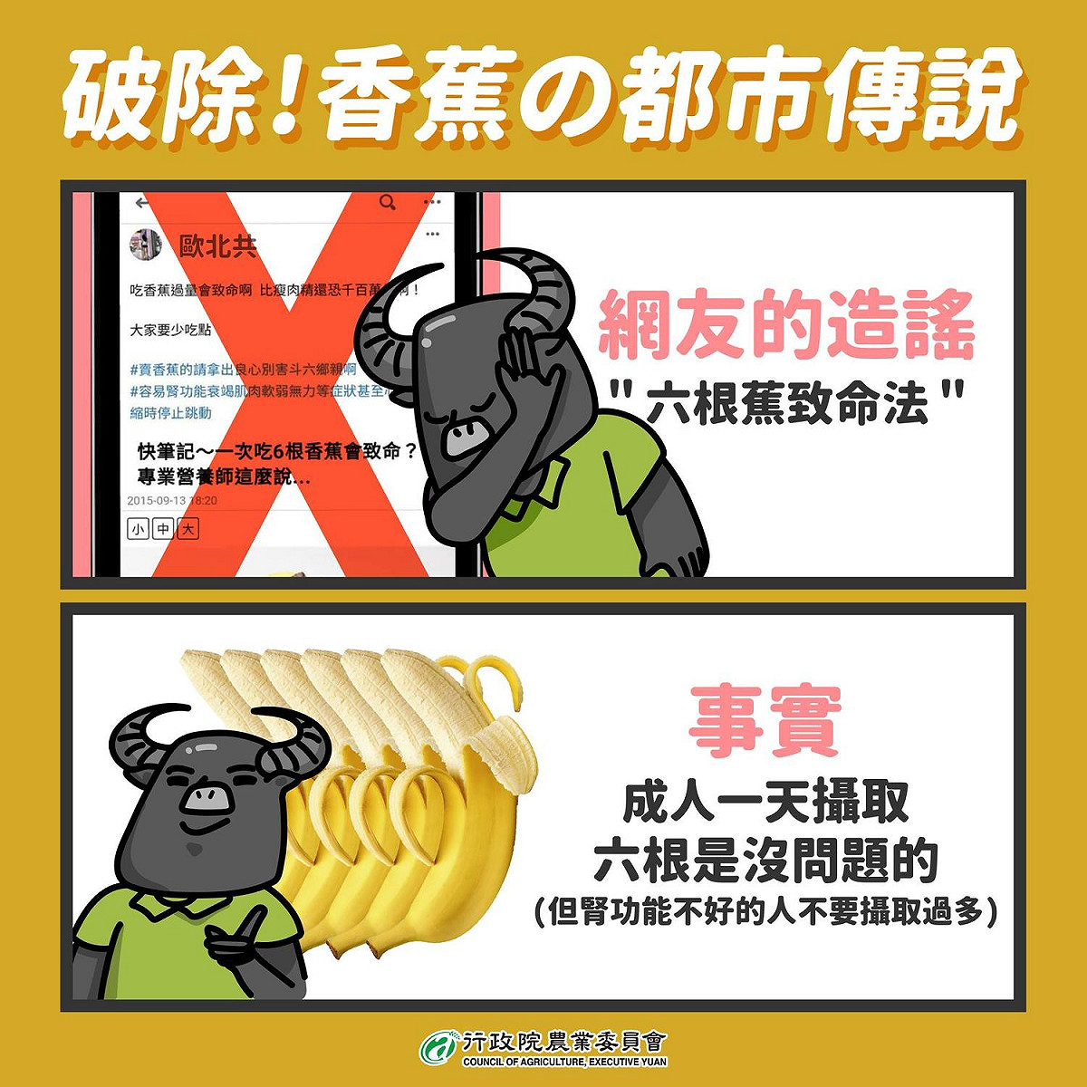農委會今（1）日表示，成人一天吃6根香蕉是沒問題的，除非是腎功能較差的民眾，不能攝取過多的鉀，才要避免吃過量的香蕉。 圖：取自農委會臉書