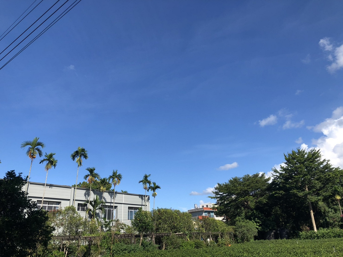 中央氣象局針對全台10縣市發佈高溫特報。 圖：楊瑾錚/攝