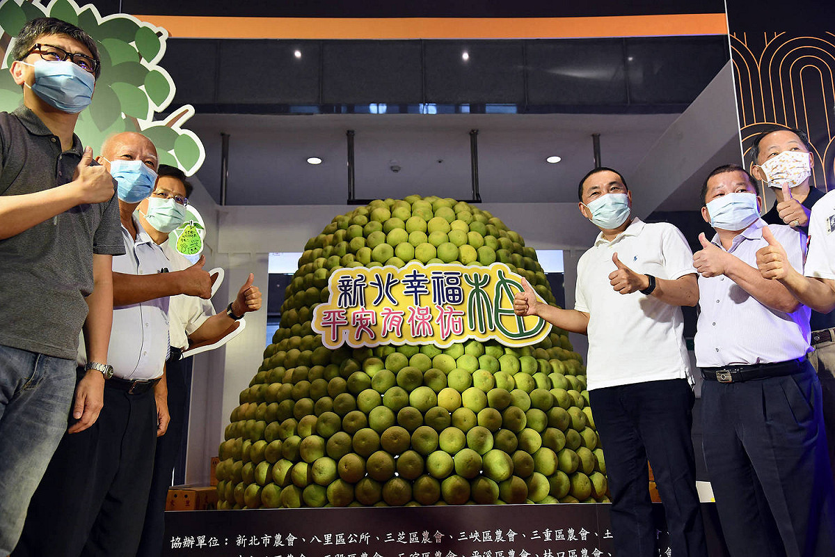 新北市文旦柚上市記者會，充滿濃濃的文旦芳香。  圖：新北市新聞局提供