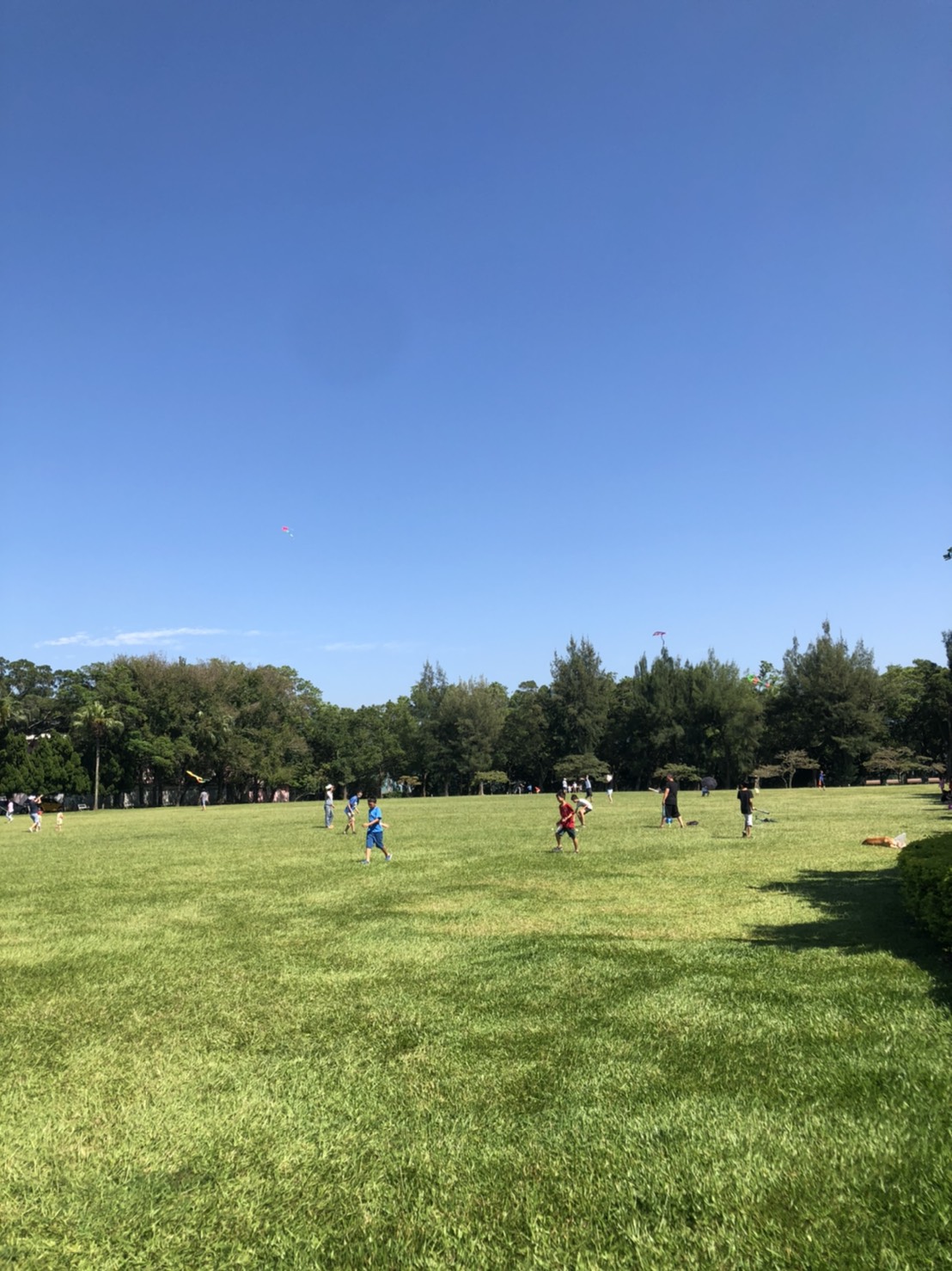 氣象局指出，秋老虎天氣型態再熱3天。 圖：楊瑾錚/攝