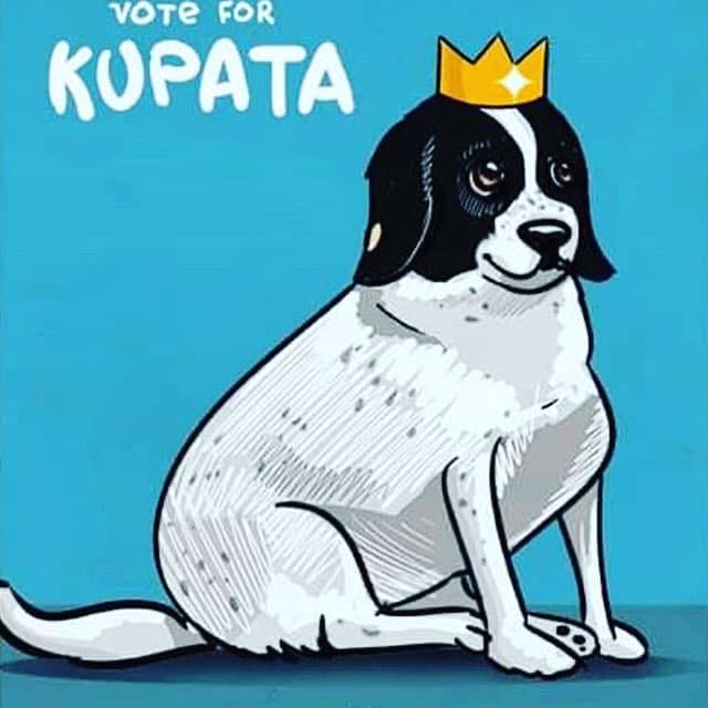巴統市市民不僅自發性替庫帕塔（Kupata）架設臉書與IG帳號，還有不少人替牠畫下畫像。 圖：翻攝自Lovely Kupata . კუპატა臉書